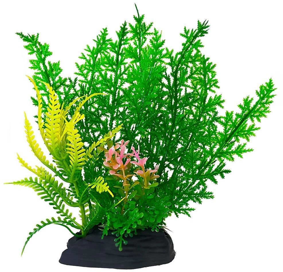 Aqua Natura plant for aquarium decoration