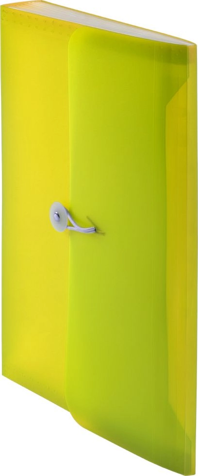 Tetis PP accordion folder with elastic