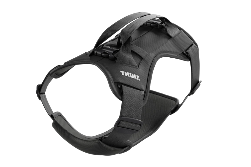 Thule - Cappy - Car Harness