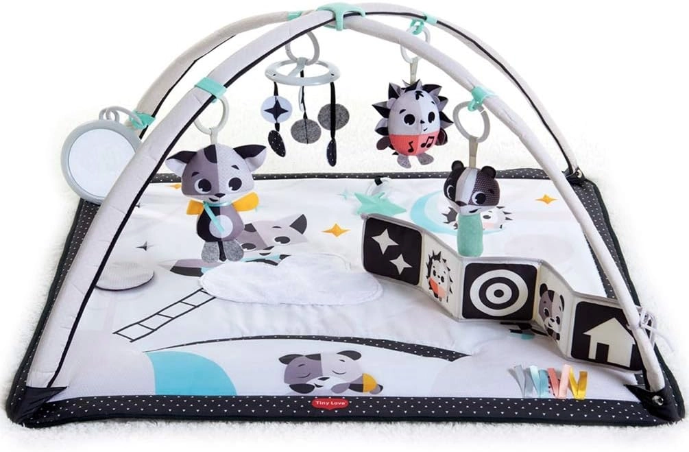 Mark Adler GYMNASTICS FOR BABY WITH