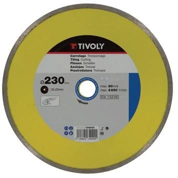 Deimantinis diskas Tivoly continuous 125x22 2mm
