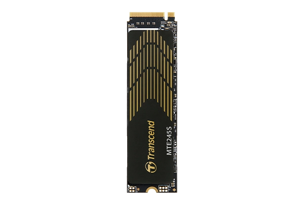 Transcend E245S 250 GB M.2