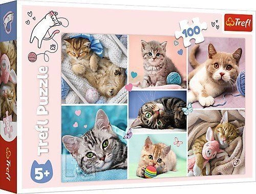 Trefl 16420 puzzle Jigsaw puzzle 100