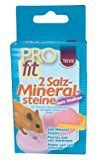 SALT FOR RODENTS WITH HANDLE 2