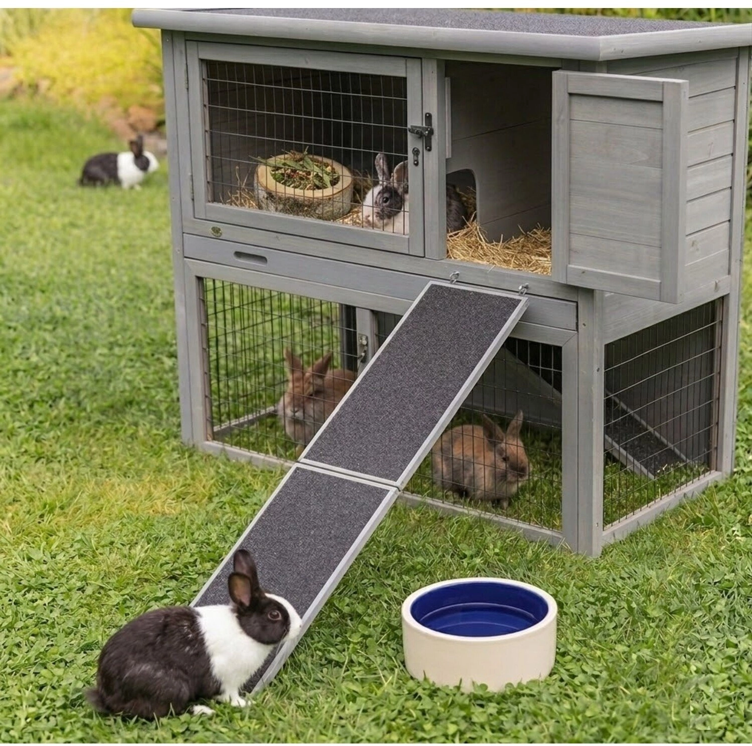 Trixie Ramp for a small animal