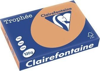 Trophee Copy A4 80g 500 sheets