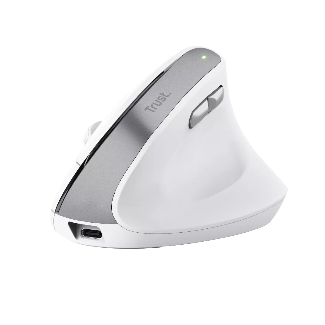 Bayo II White