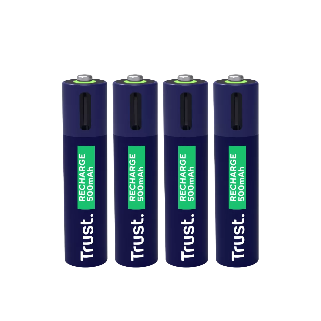 Trust 25671 household battery Rechargeable battery