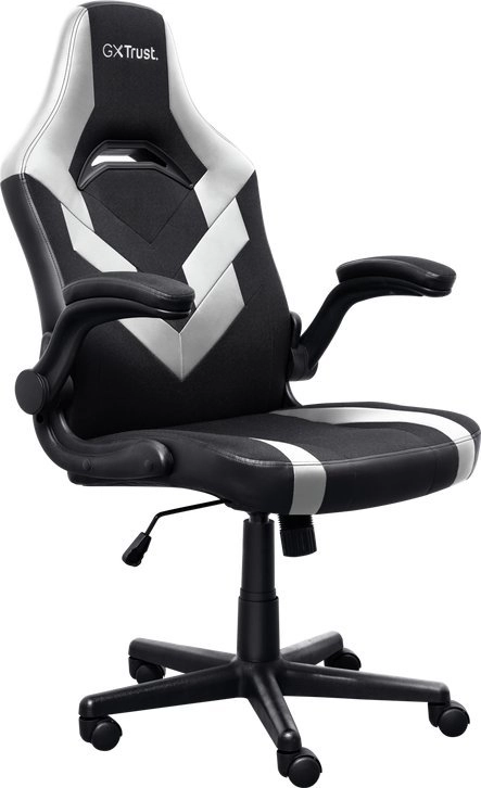 Trust GXT 703W RIYE Gamer Chair