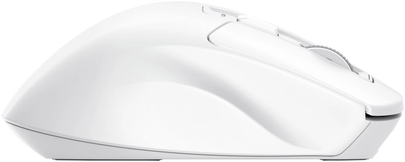Trust Niven mouse Office Right-hand RF