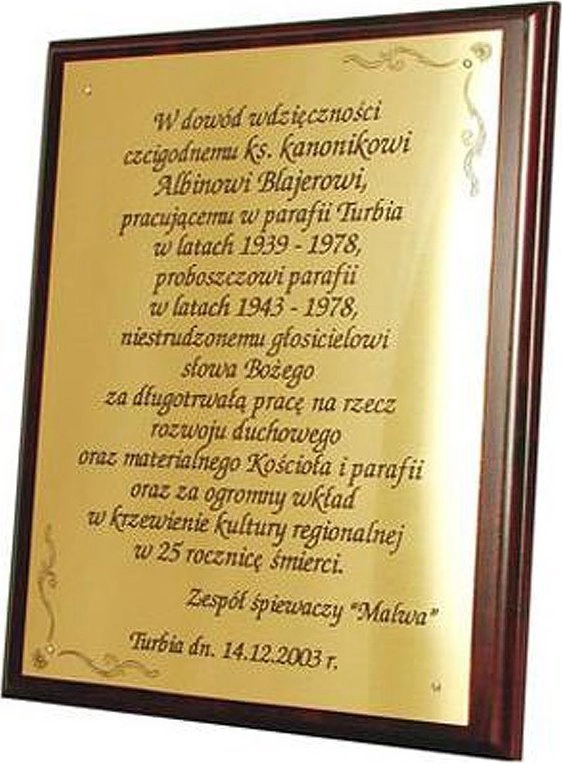 Tryumf Plastic primer 180x130 color bronze