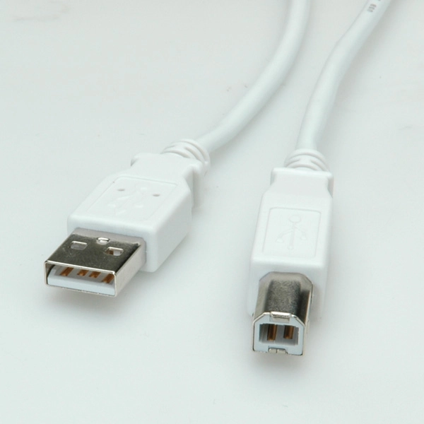 VALUE USB 2.0 Cable  A