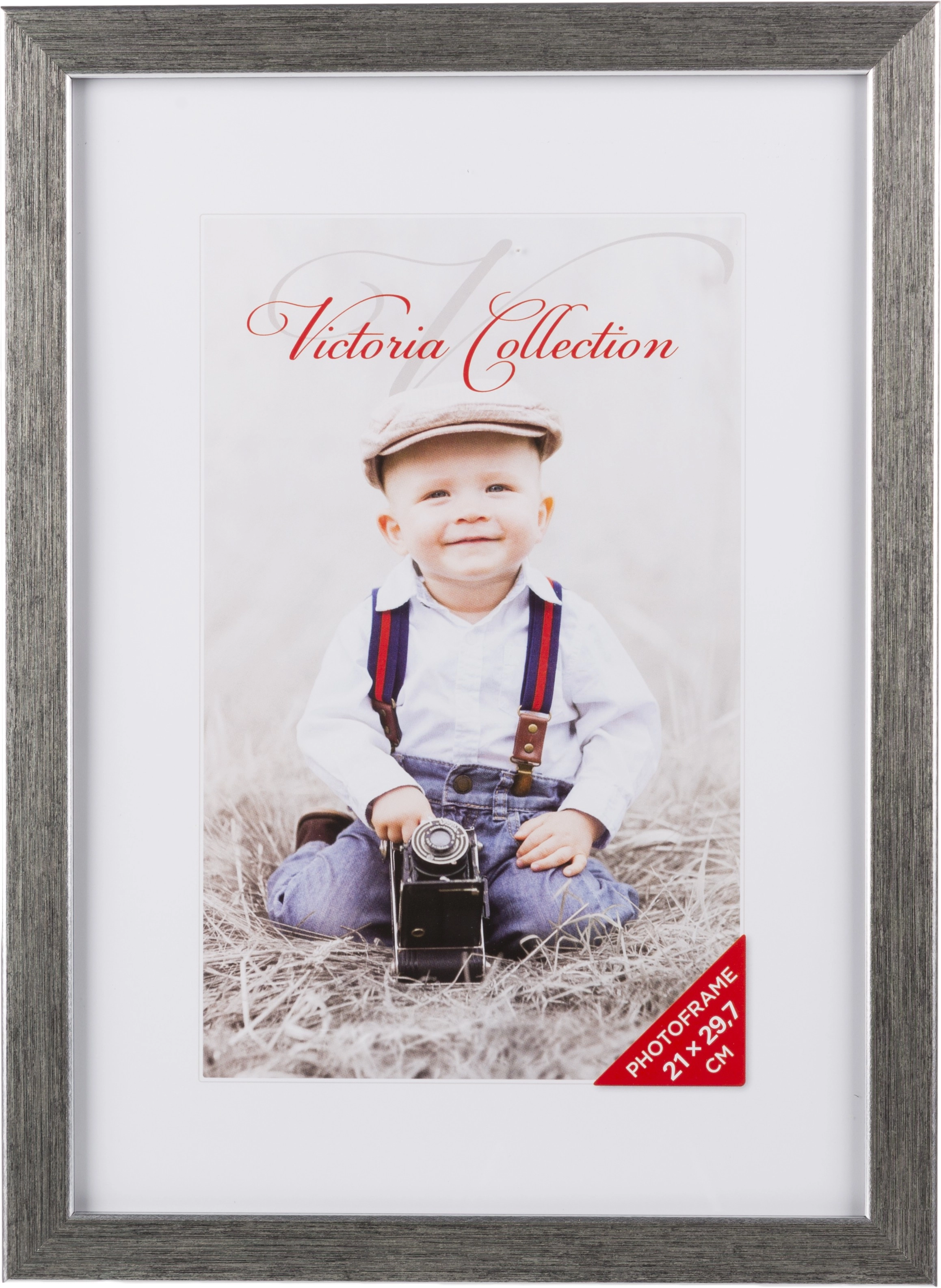 Foto rāmis Titan 21x29.7  sudraba