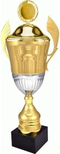 Victoria Sport Gold metal cup with