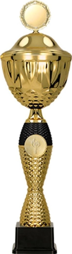 Victoria Sport Metal Cup with Cover