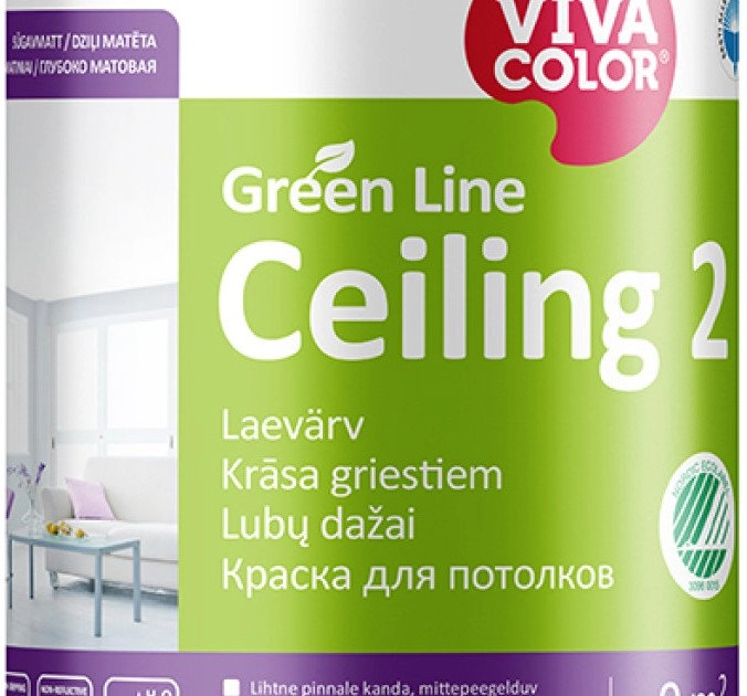 VivaColor PAINT GREEN LINE CEILING 2