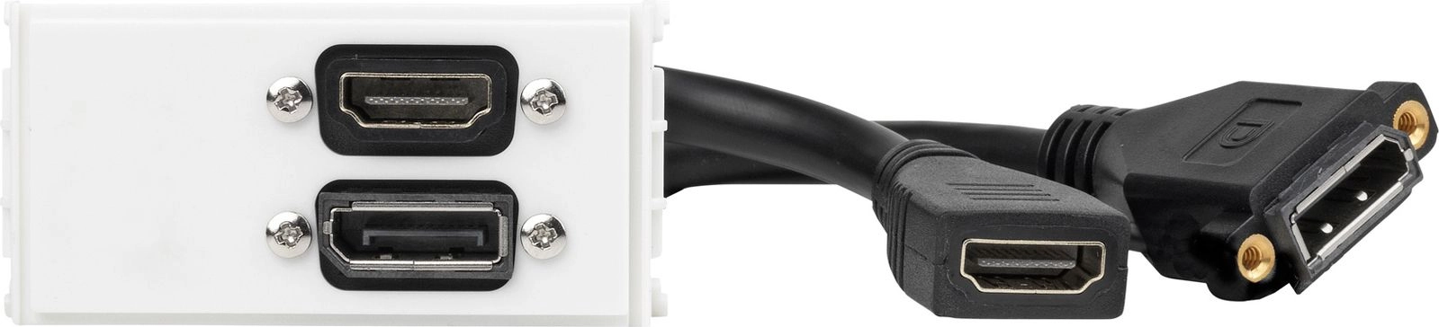 Outlet Panel Displayport+HDMI WI221267 5712505641880