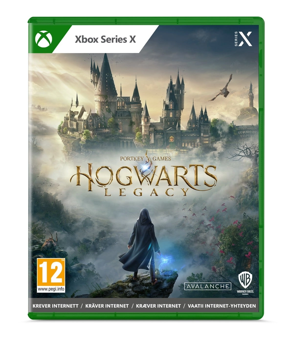 Hogwarts Legacy  (FR/Multi in Game) 5051888255742