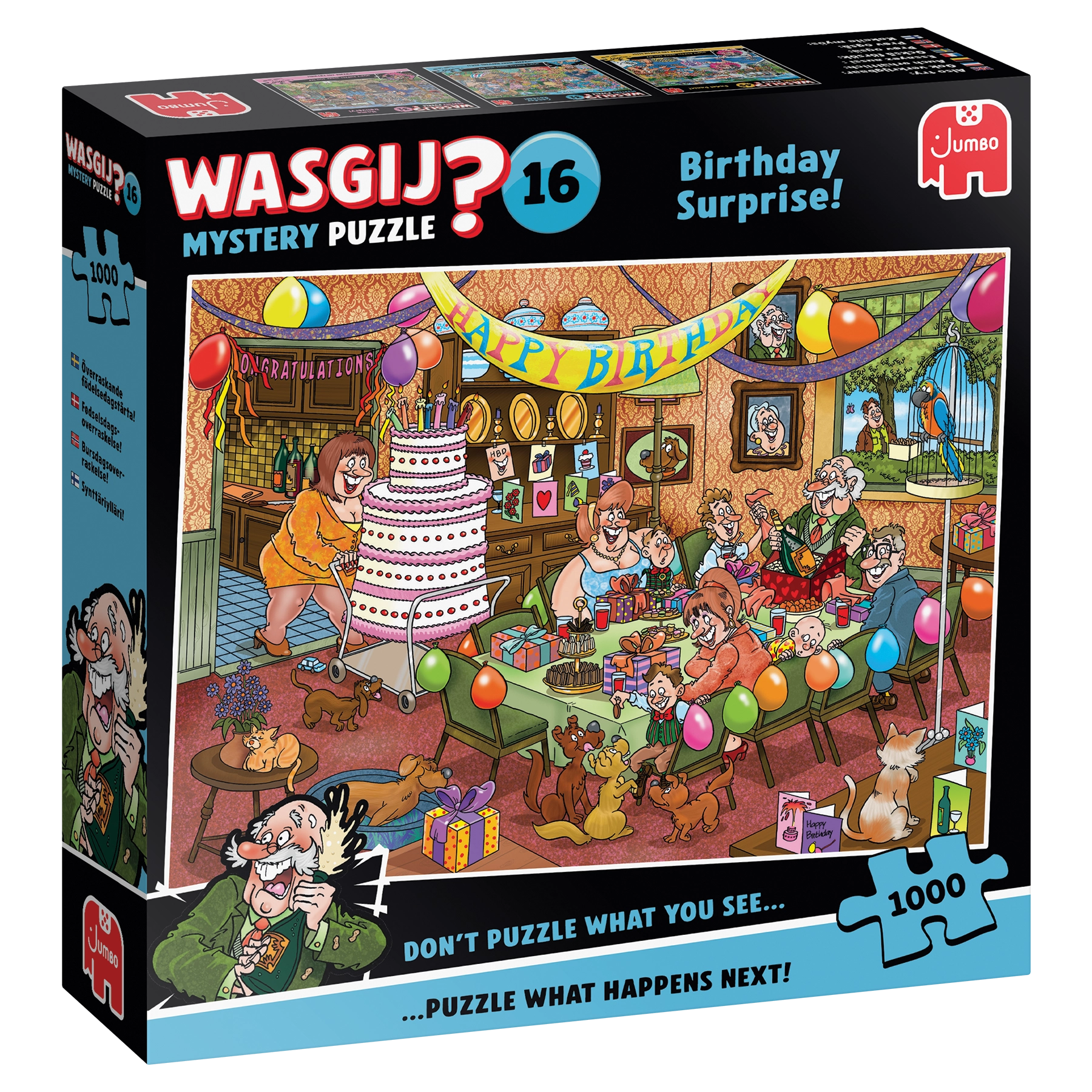 Wasgij - Mystery 16 Birthday Surprise