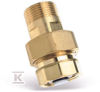 Watts Industries Bronze Connection with Check