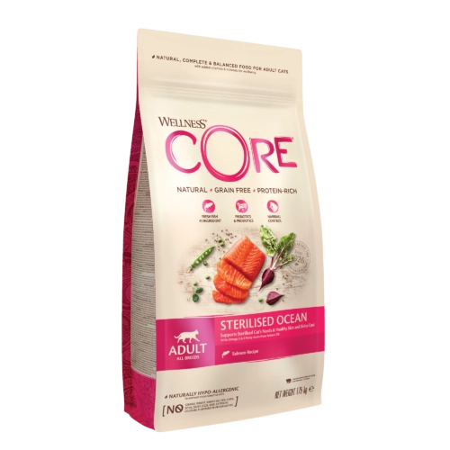 Wellness CORE CORE Sterilised Ocean  Salmon
