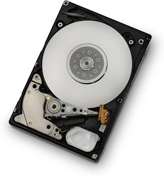 Western Digital Ultrastar C10K600 300GB internal