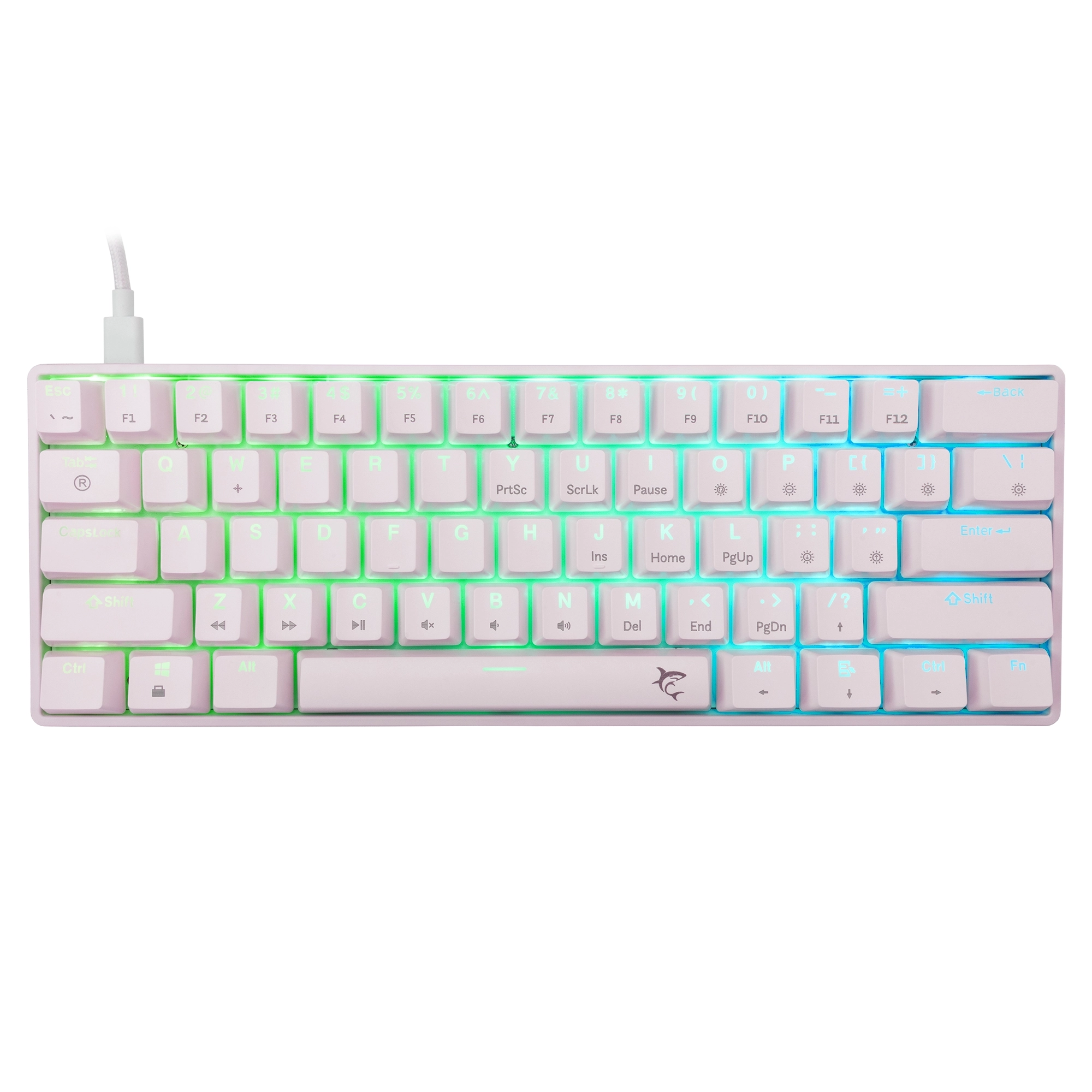 White Shark Shinobi-2 white blue switch