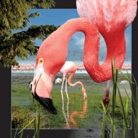 3D Flamingo postcard WIKR-1068811 5710431000061