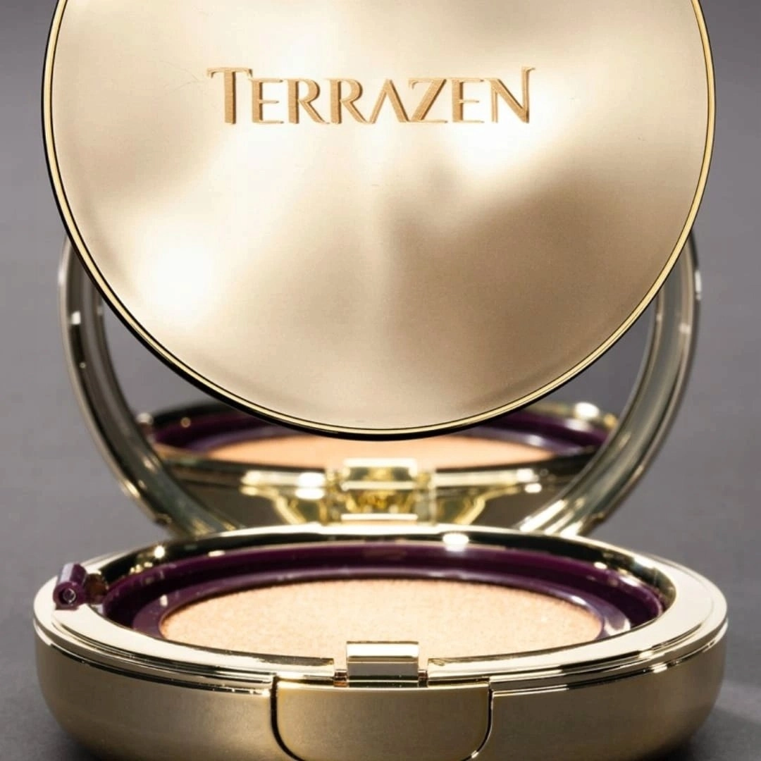 Yves Saint Laurent Terrazen  Perfect Finish