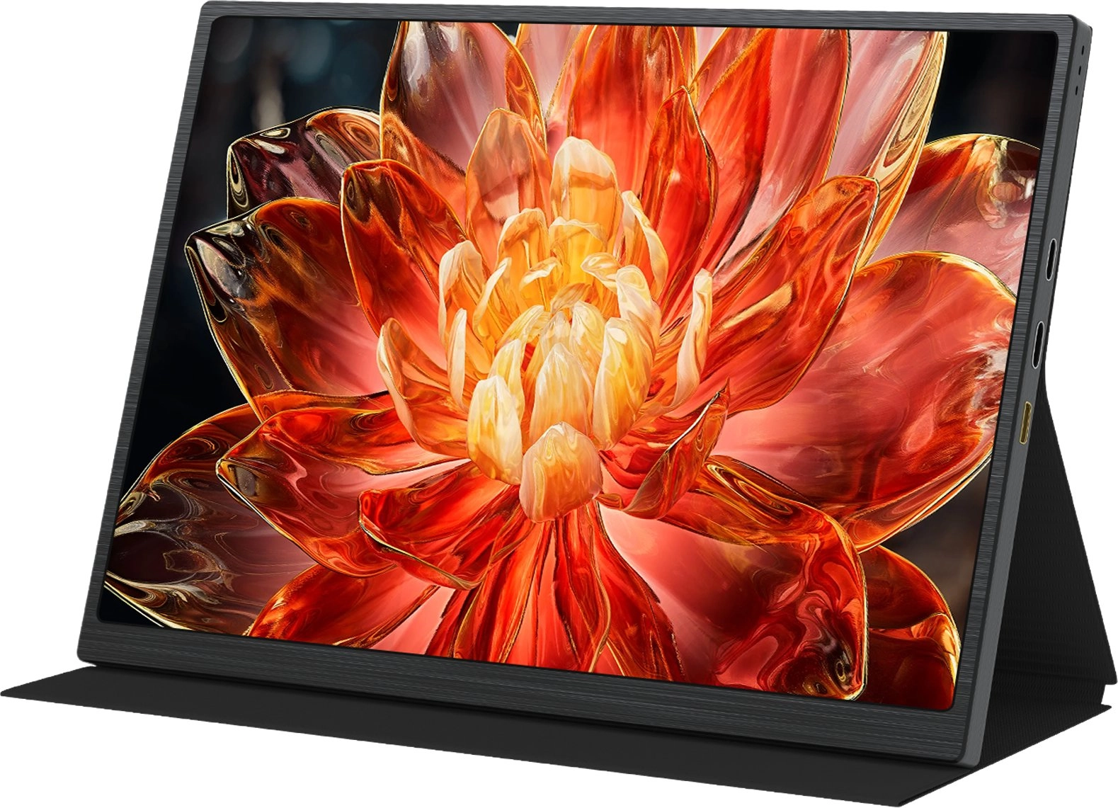 Monitors Zeuslap Z10P