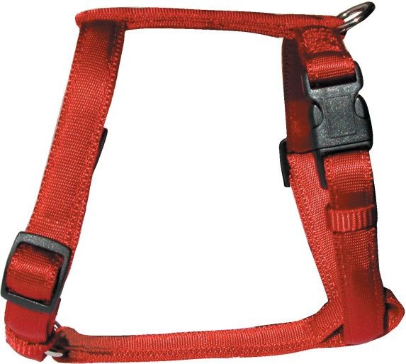 Zolux Cushion szelki taśma 20mm -