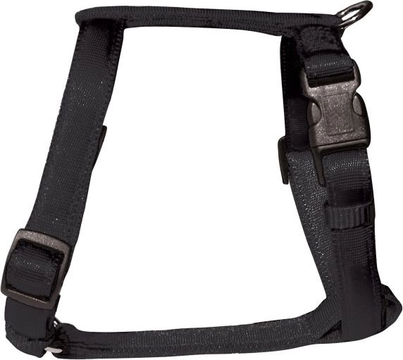 Zolux Cushion suspenders tape 25mm -