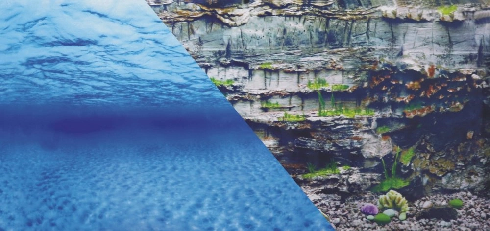 Zolux ZOLUX Aquarium background  double-sided  water/underwater