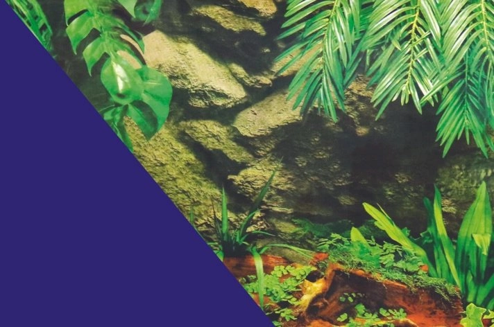 Zolux ZOLUX Aquarium background double-sided underwater