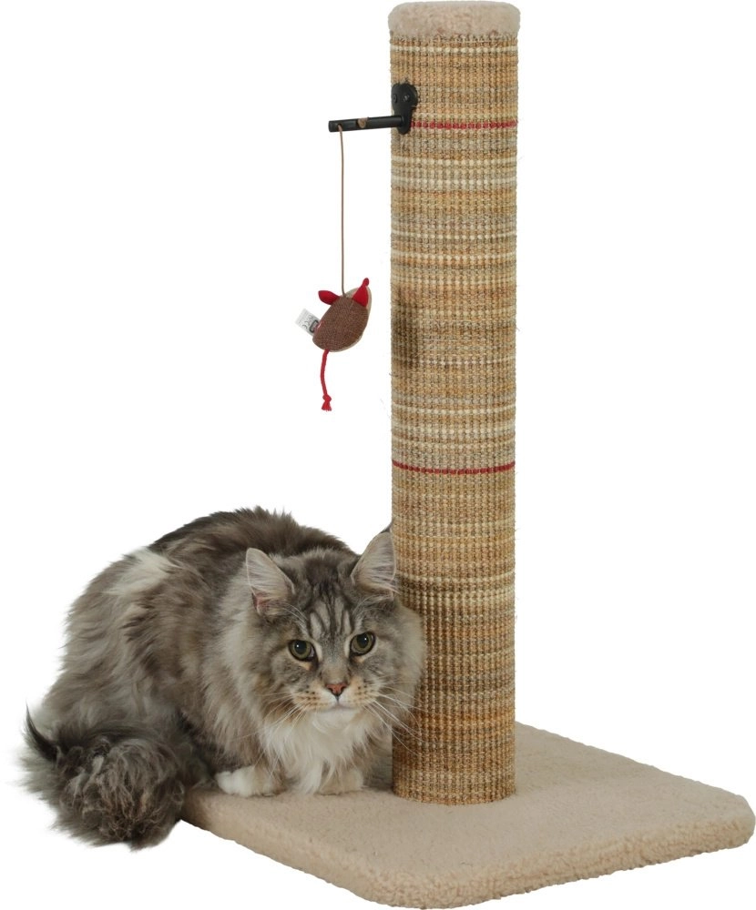 Zolux ZOLUX Cat scratching post BOREAL