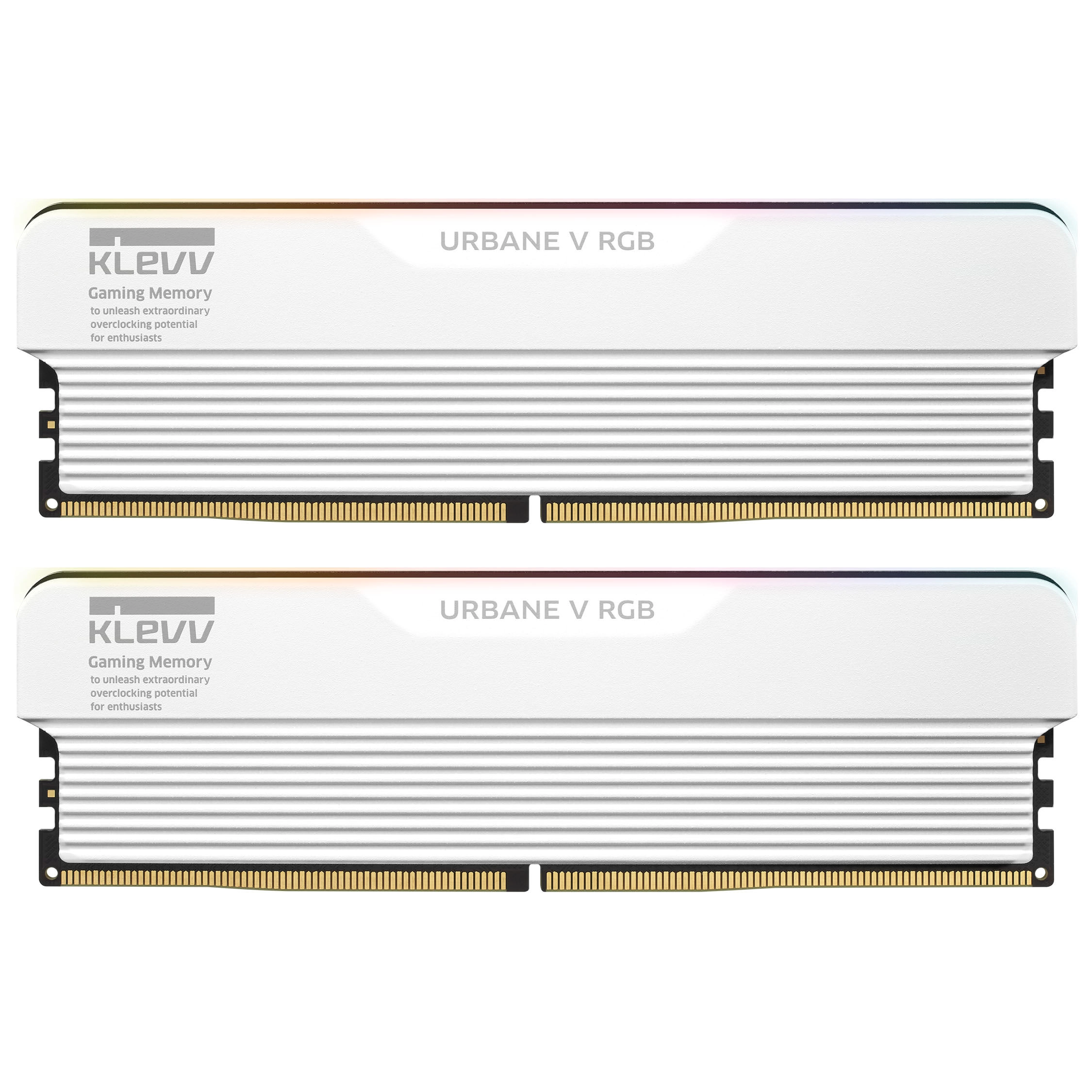 Klevv Urbane V RGB memory module