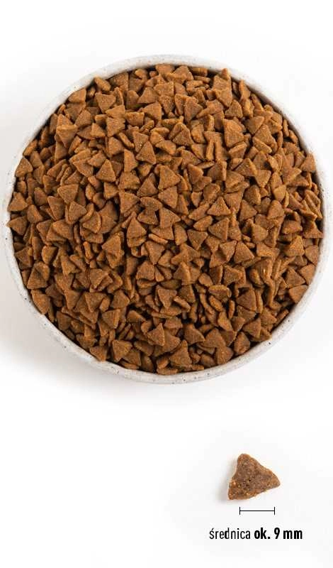 ACANA Bountiful Catch - dry cat