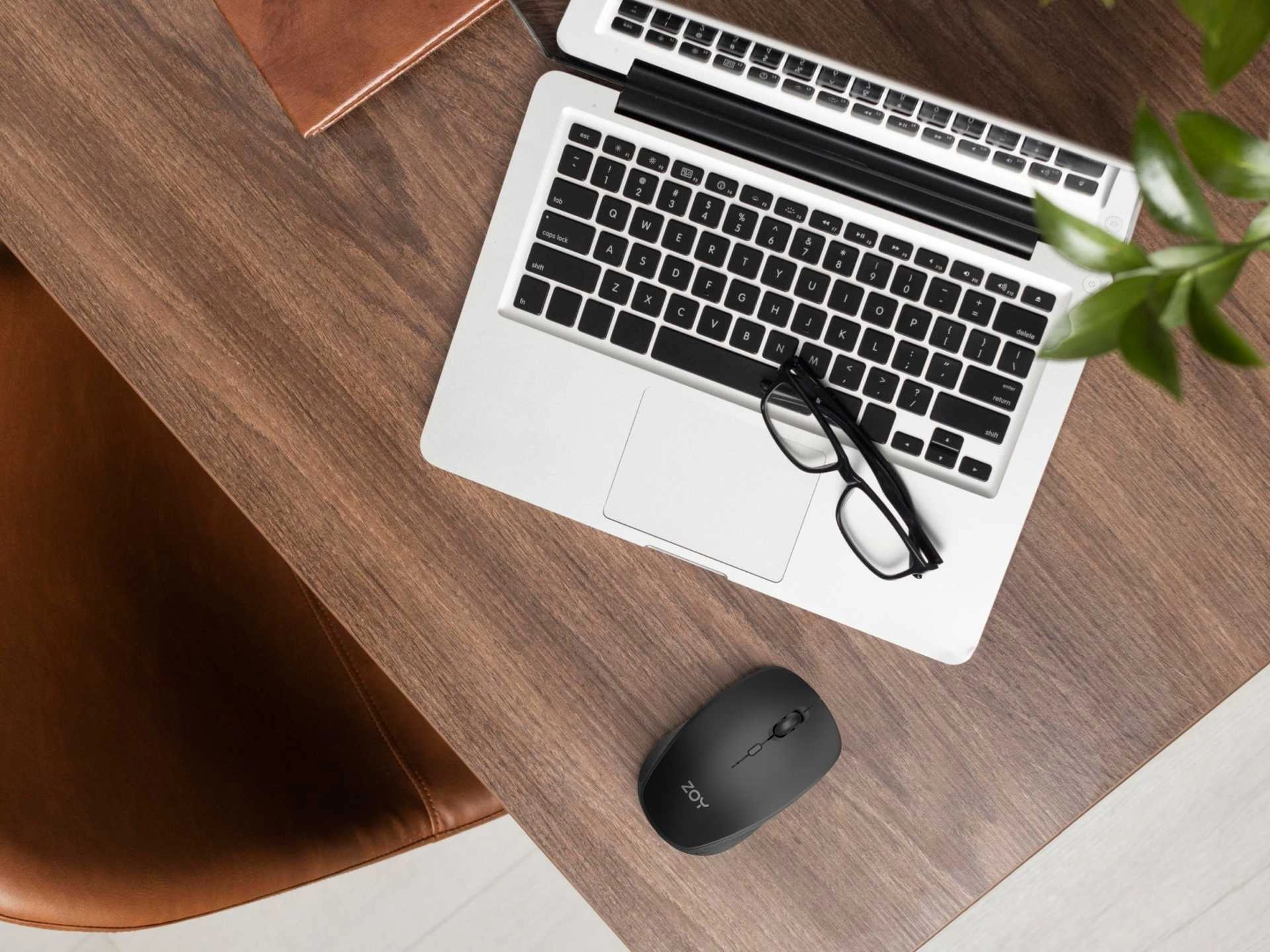 DELL Wired Mouse - MS116 -
