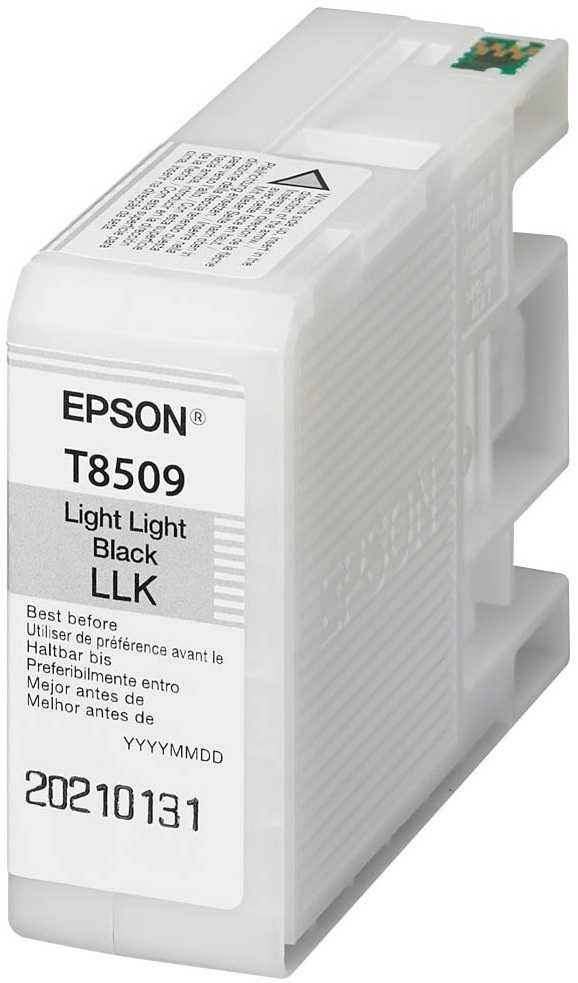 Epson Singlepack Light Light Black T850900