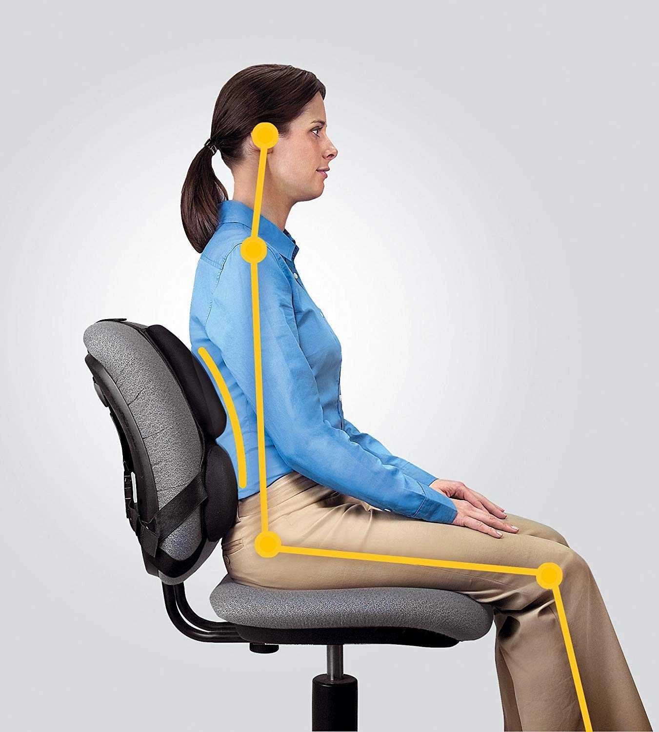 Fellowes Back Support for Office Chair