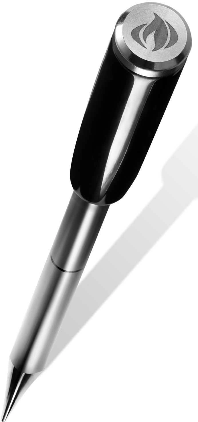 Napoleon Accu-Probe Pro X wireless frying