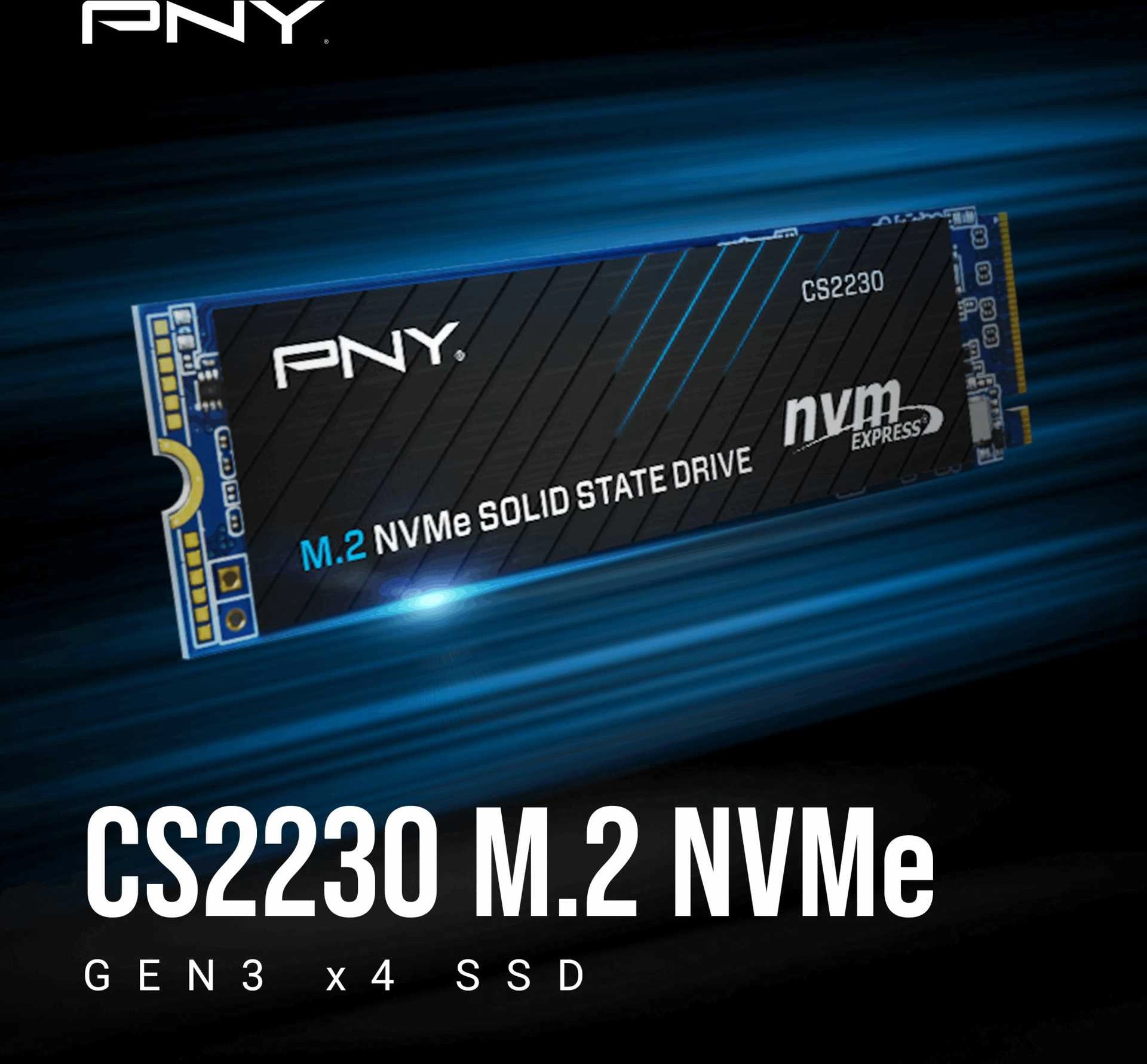 PNY CS2230 500 GB M.2