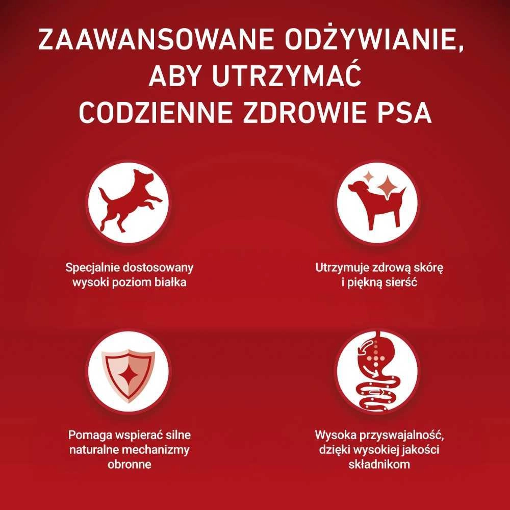 PURINA ONE MINI Dog Adult Beef