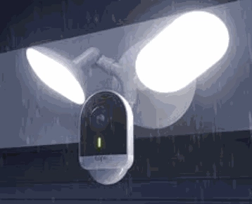 TP-Link Smart Floodlight Camera 5082405EV719935 8885020625479