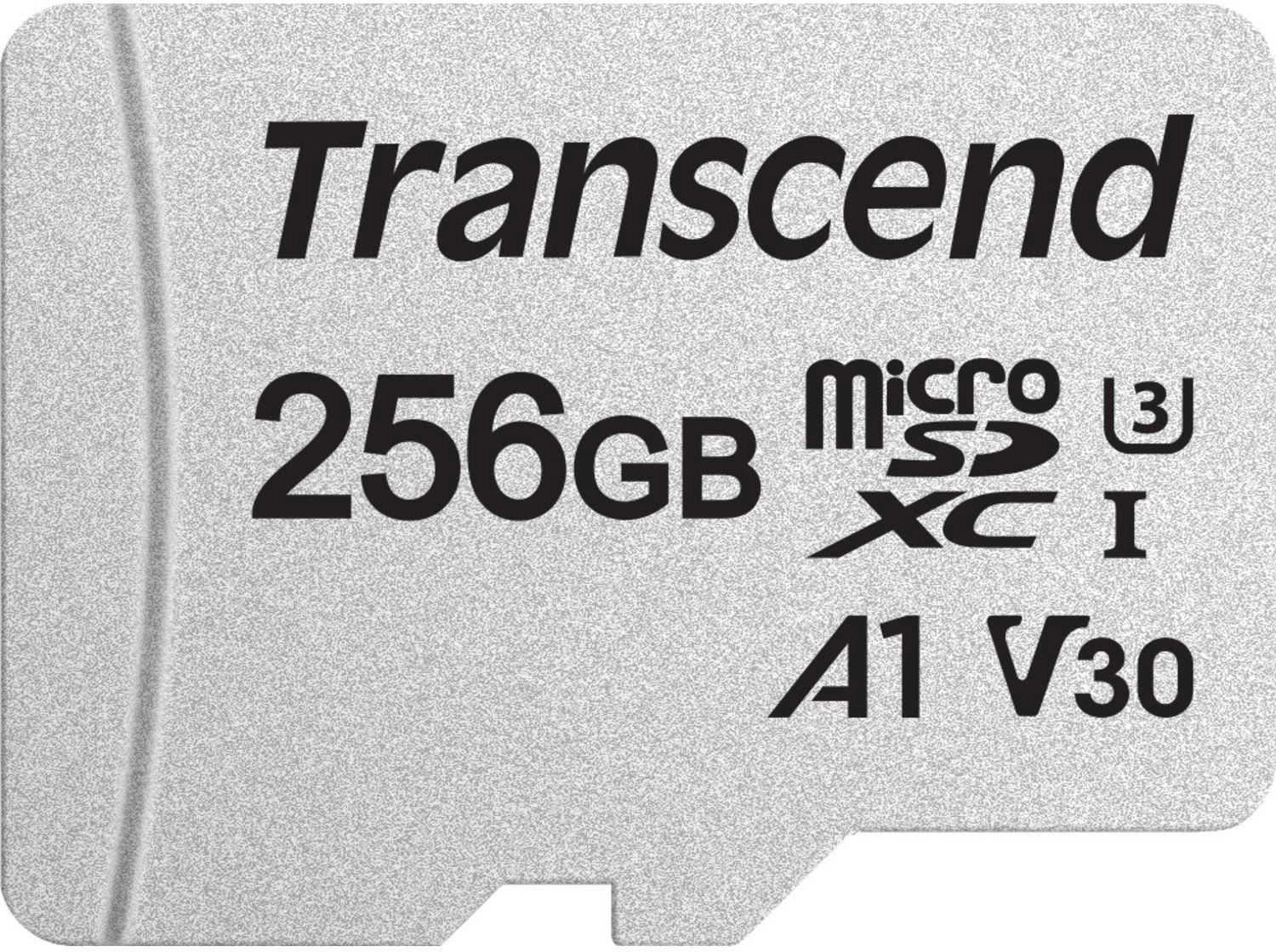 300S 256GB Micro SDXC Сlass 10