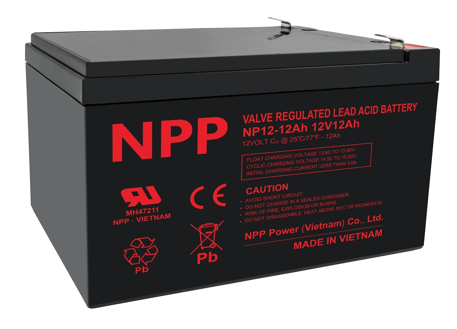Battery 12 V 12 Ah T2(F2)