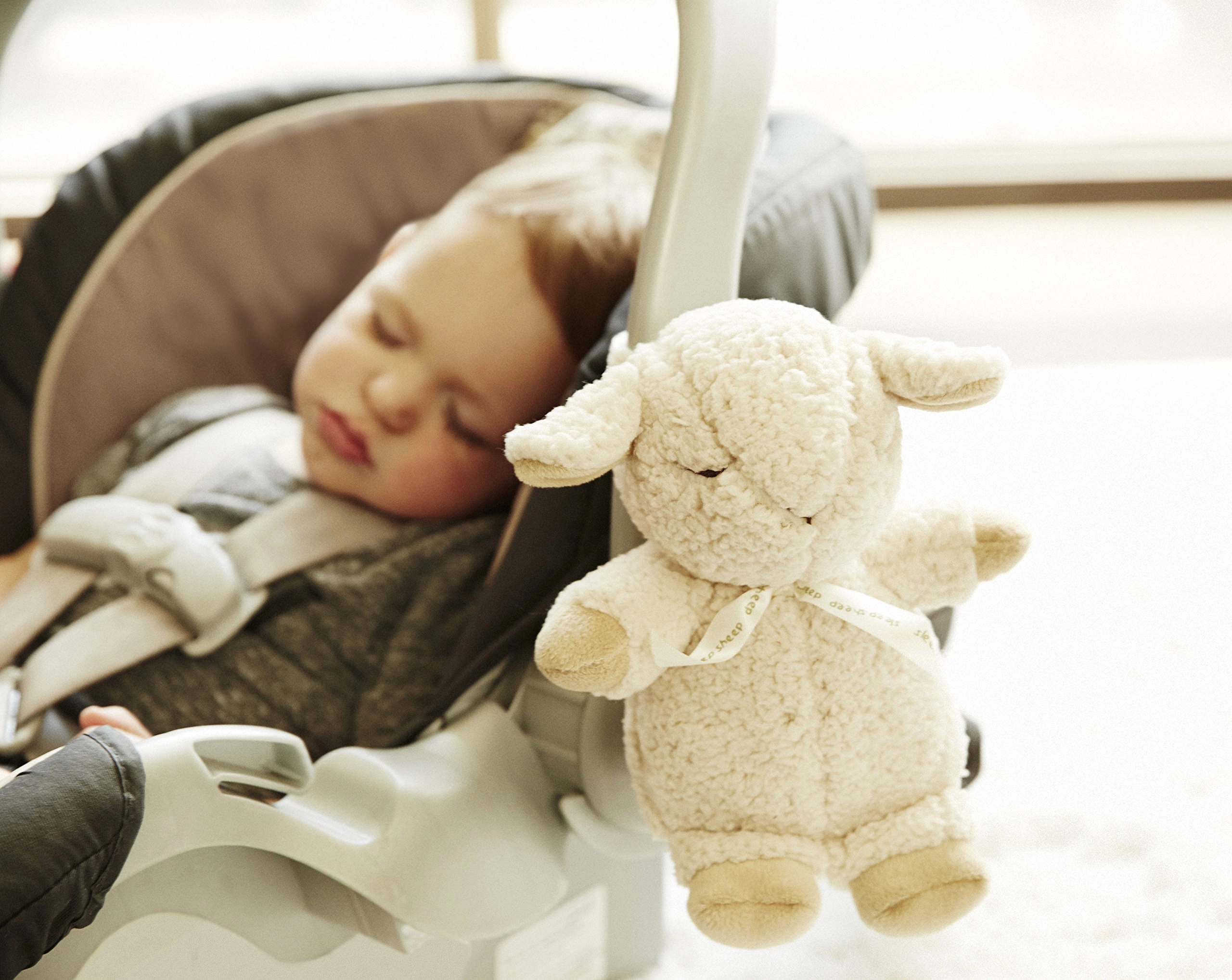 Cloud B Sleep Sheep 0872354007260 CLSS-7302-ZZ