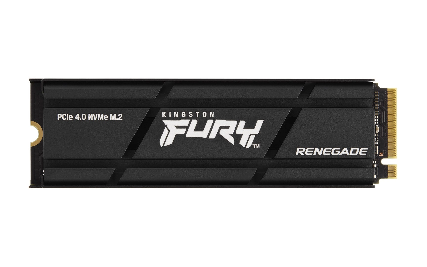 Kingston Technology 2000G RENEGADE PCIe 4