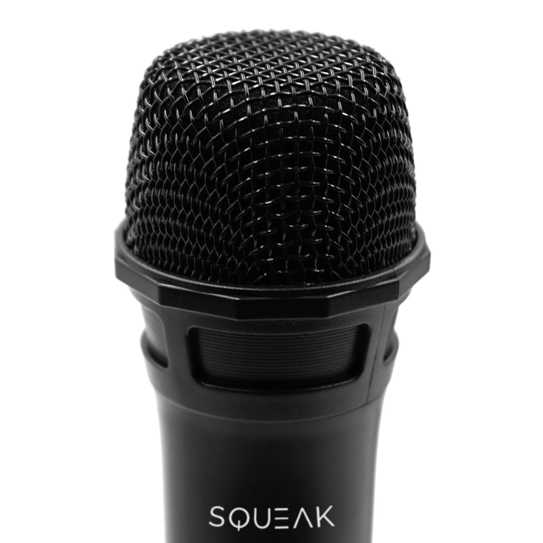 Mikrofony bezprzewodowe do KARAOKE SQUEAK VocalDuo