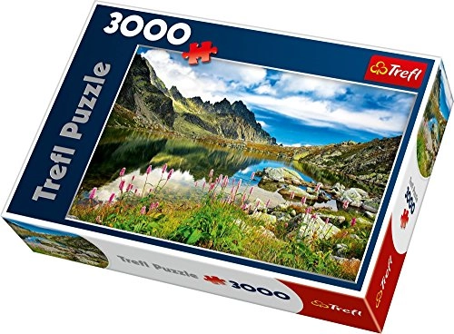Trefl Starolesnianski Pond  Tatras  Slovakia 33031